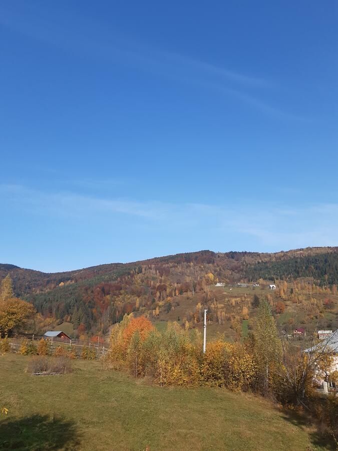 Гостевой дом У Марічки Яремче