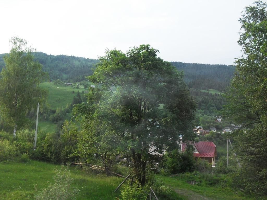 Гостевой дом У Марічки Яремче-55