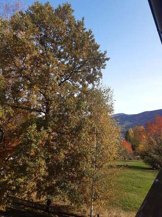 Гостевой дом У Марічки Яремче-2